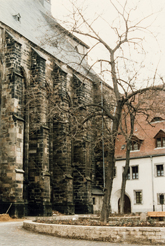 Vorschaubild Moritzkirchhof, Moritzkirche